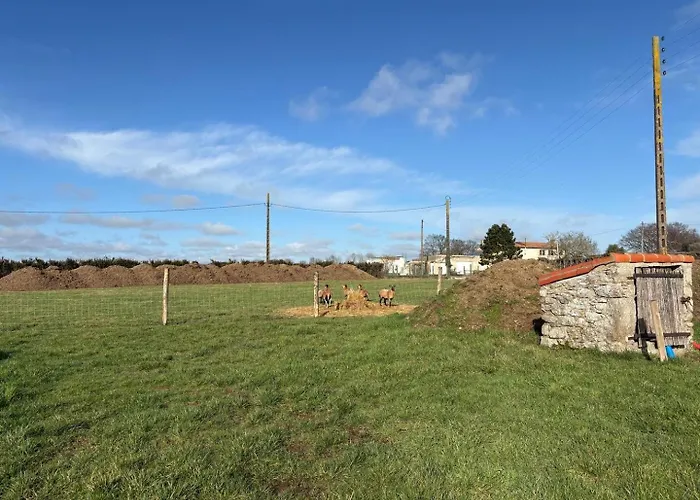 Le 1701 - 15 Pers Avec Piscine, Puy Du Fou